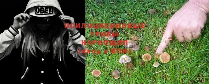 Галлюциногенные грибы MAGIC MUSHROOMS  Лабытнанги 